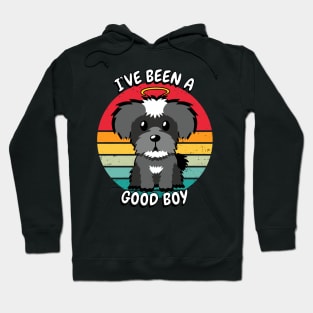 Cute schnauzer dog is a good boy Hoodie